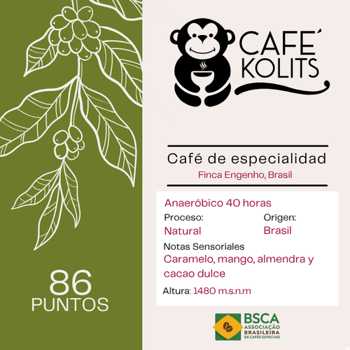 Red Bourbon - Finca Engenho, Brasil