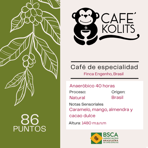 Red Bourbon - Finca Engenho, Brasil
